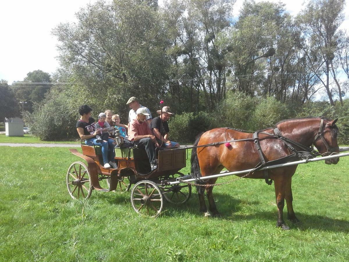 Agroturystyka U Krystyny Rybczewice Bagian luar foto